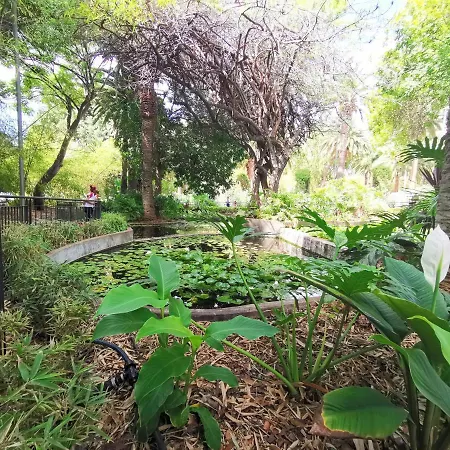 Home2book Charming Cruz, Wifi Appartamento Santa Cruz de Tenerife